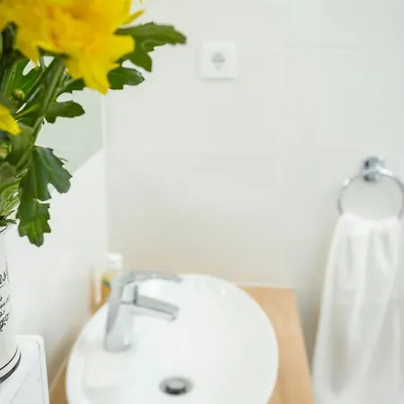 & Libar * スプリト